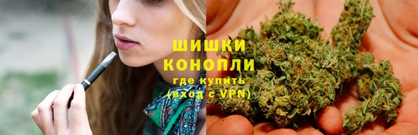 дмт Гусев