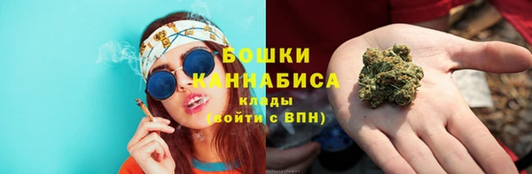 дмт Гусев