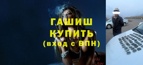 дмт Гусев