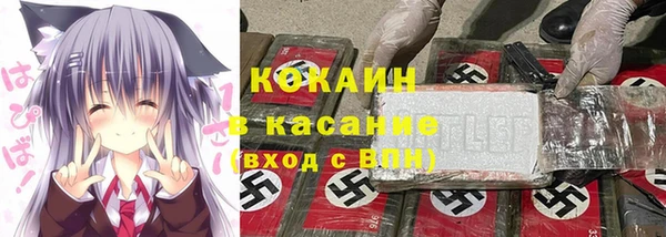 дмт Гусев