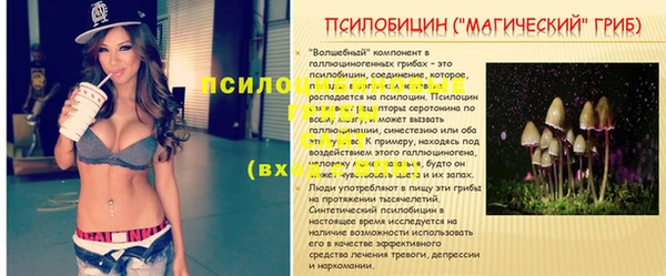 соль курить ск Гусь-Хрустальный
