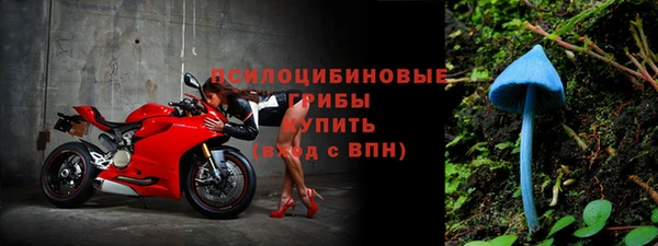 дмт Гусев