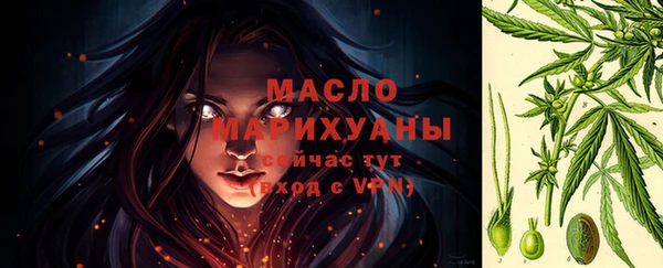дмт Гусев