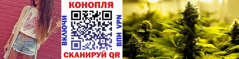 Конопля OG Kush Давлеканово